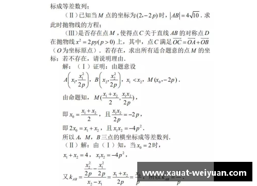 探究安德雷斯库数学理论与数学史上的意义