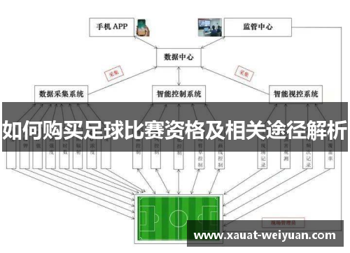 如何购买足球比赛资格及相关途径解析